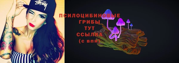 крисы Абинск
