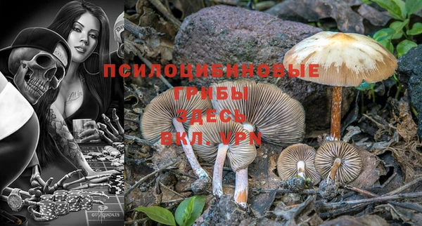 крисы Абинск