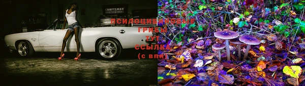 крисы Абинск