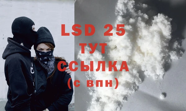 ПСИЛОЦИБИНОВЫЕ ГРИБЫ Снежногорск