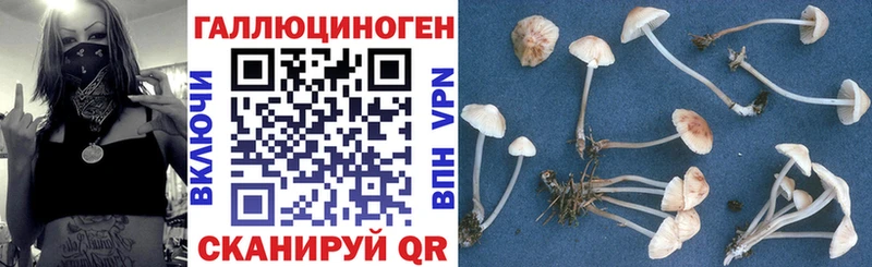 как найти закладки  Энгельс  blacksprut вход  Псилоцибиновые грибы мицелий 